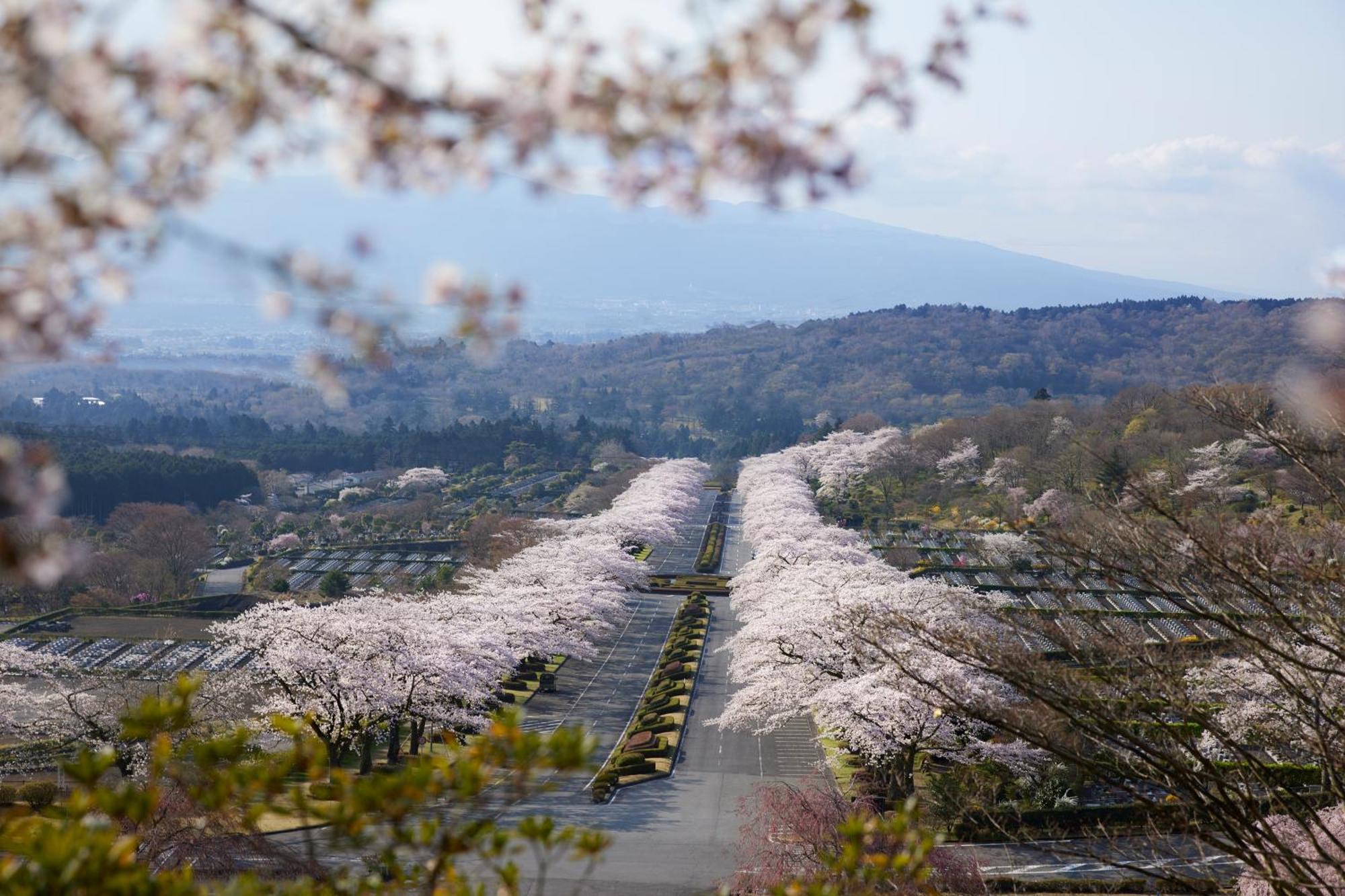 Fuji Speedway Hotel, In The Unbound Collection By Hyatt Oyama  Luaran gambar