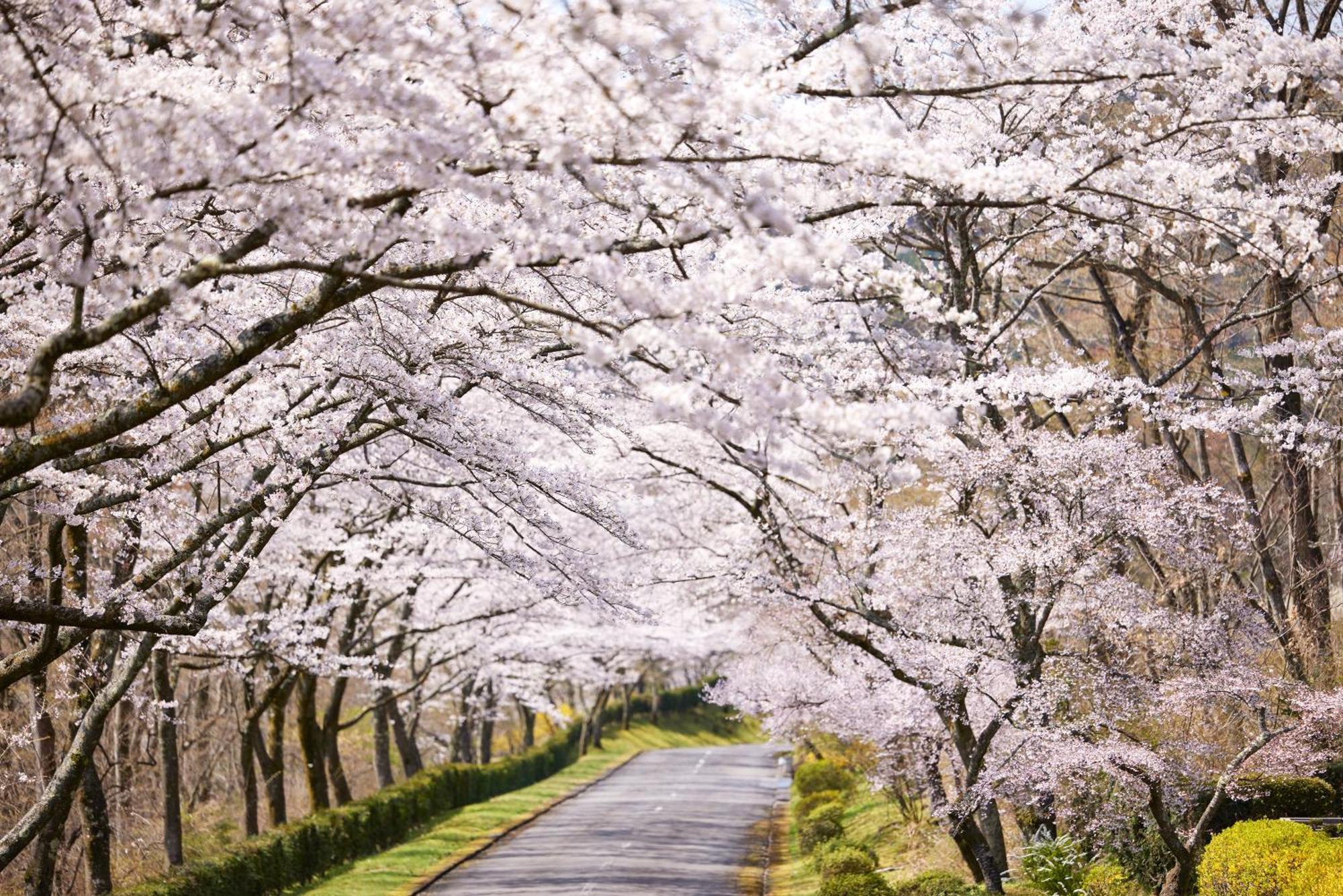 Fuji Speedway Hotel, In The Unbound Collection By Hyatt Oyama  Luaran gambar